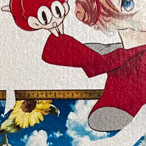 新シェルリンプレーン180kg